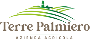 Terre Palmiero
