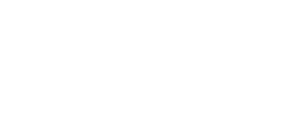 Terre Palmiero