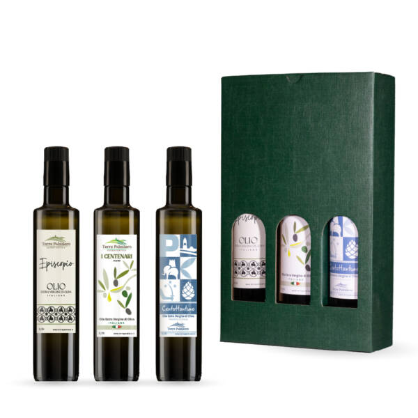 Olio Extra Vergine di Oliva Terre Palmiero