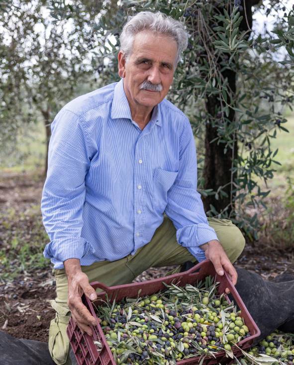 Terre Palmiero Azienda 01